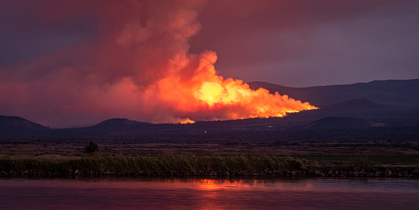 a wildfire burns in Northern California at night