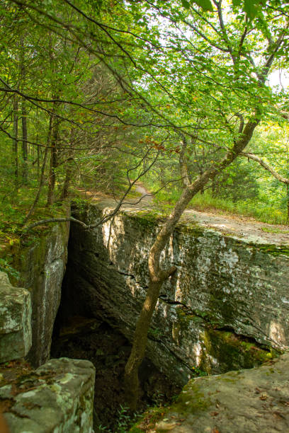 puente de piedra natural en la ruta de senderismo en bell smith springs, bosque nacional shawnee, illinois. - shawnee national forest fotografías e imágenes de stock