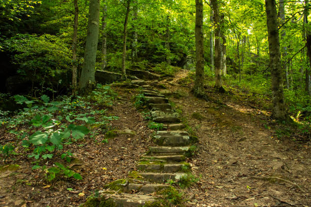 sone treppe auf den wanderwegen.  shawnee national forest, illinois. - shawnee national forest stock-fotos und bilder