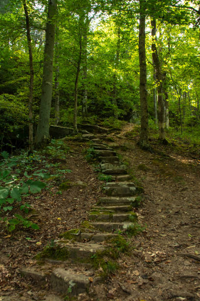 sone treppe auf den wanderwegen.  shawnee national forest, illinois. - shawnee national forest stock-fotos und bilder