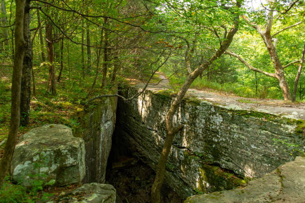 puente de piedra natural en la ruta de senderismo en bell smith springs, bosque nacional shawnee, illinois. - shawnee national forest fotografías e imágenes de stock