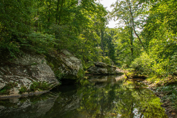 formaciones rocosas a lo largo del arroyo en el área de bell smith springs del bosque nacional shawnee en el sur de illinois. - shawnee national forest fotografías e imágenes de stock