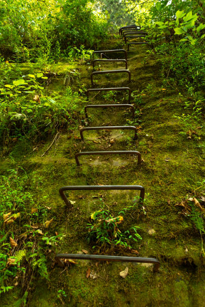 eisenleitern in der felswand auf dem natürlichen bringe trail.  glockenschmiedquellen, shawnee national forest, illinois. - shawnee national forest stock-fotos und bilder