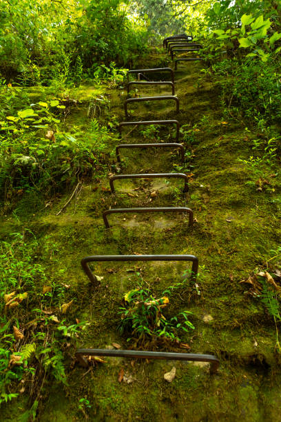 escaleras de hierro en la cara de la roca en el sendero de traer natural.  bell smith manantiales, bosque nacional shawnee, illinois. - shawnee national forest fotografías e imágenes de stock