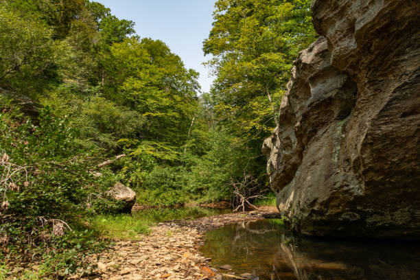 formaciones rocosas a lo largo del arroyo en el área de bell smith springs del bosque nacional shawnee en el sur de illinois. - shawnee national forest fotografías e imágenes de stock
