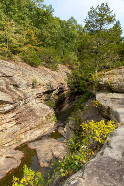 formaciones rocosas estériles y pequeño arroyo corren entre los árboles en el área de bell smith springs del bosque nacional shawnee. - shawnee national forest fotografías e imágenes de stock