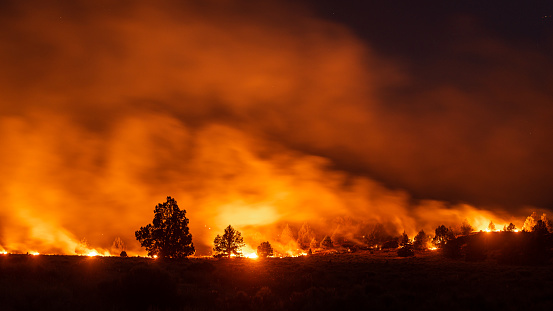 a fast moving wildfire burns in a remote section of Northern California