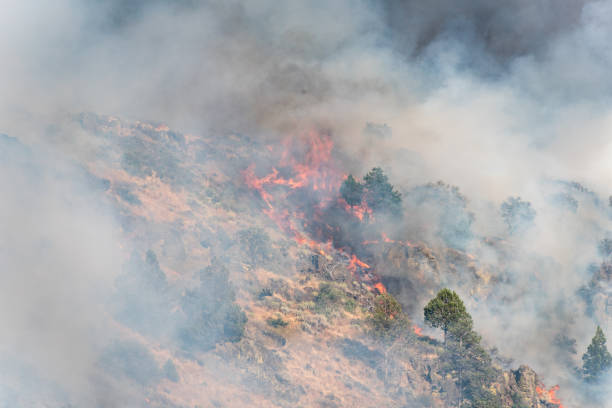 istock Wildfire on the side of a mountain 1292455530