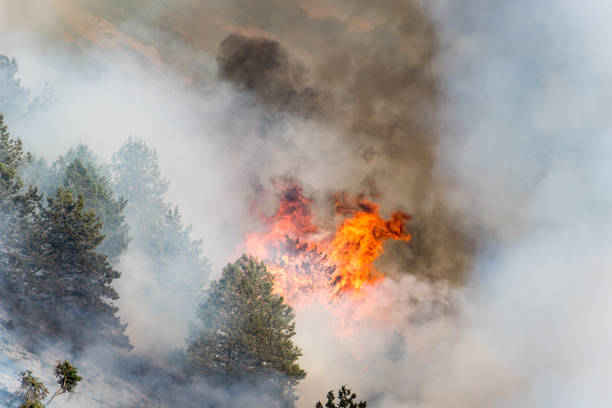 istock Wildfire on the side of a mountain 1292455612