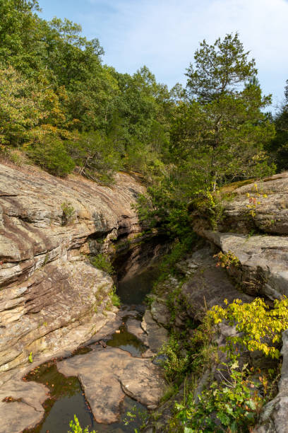 formaciones rocosas estériles y pequeño arroyo corren entre los árboles en el área de bell smith springs del bosque nacional shawnee. - shawnee national forest fotografías e imágenes de stock