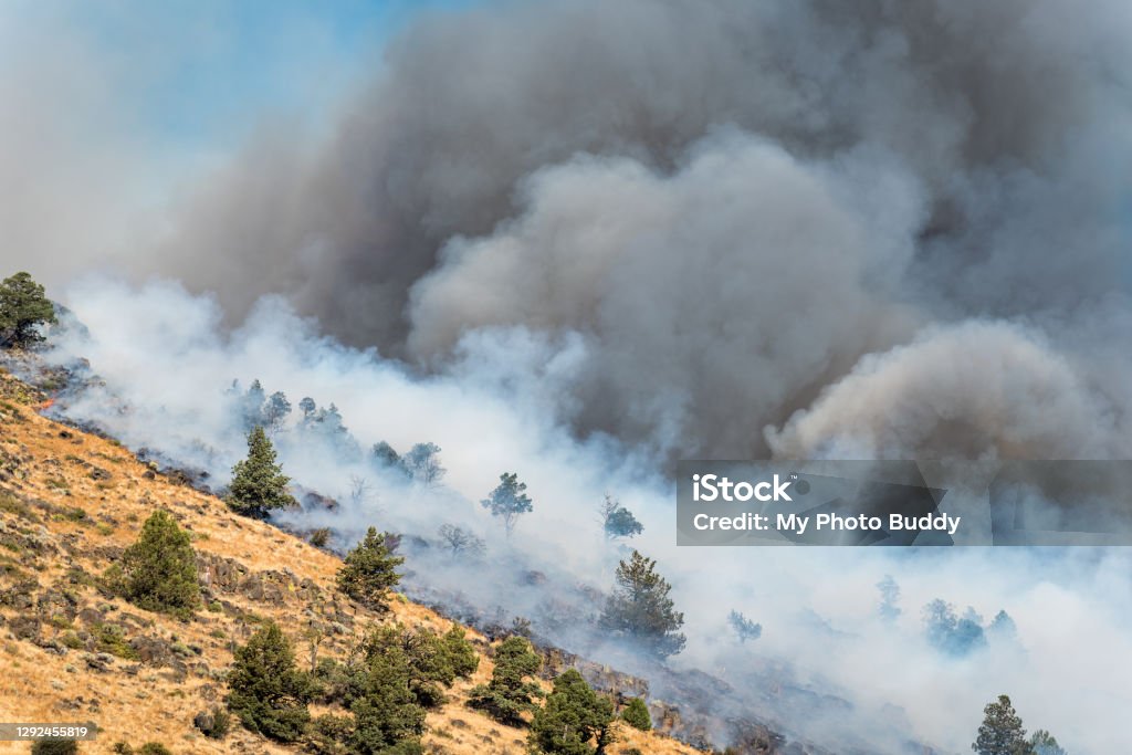 Wildfire on the side of a mountain a wildfire burns in Oregon on the side of a mountain Forest Fire Stock Photo