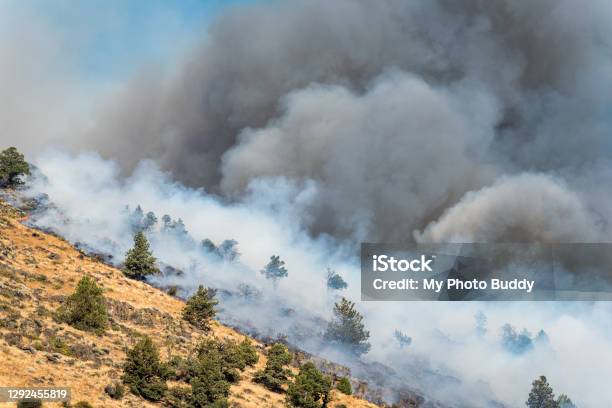 Wildfire On The Side Of A Mountain Stock Photo - Download Image Now - Forest Fire, Smoke - Physical Structure, Oregon - US State