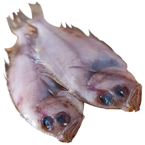 Uncooked roosterfish before cooking. Isolated over white background