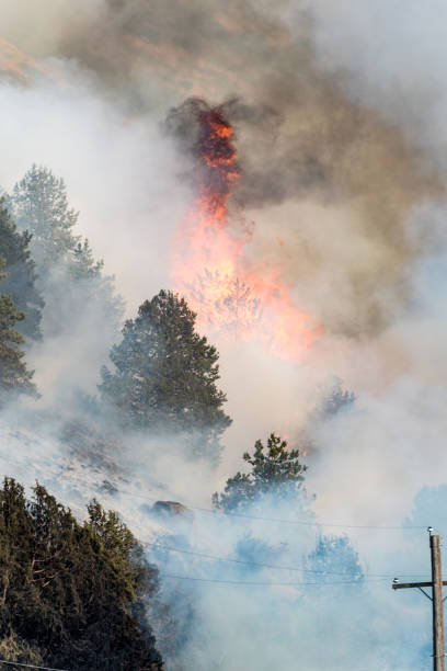 istock Wildfire on the side of a mountain 1292456159