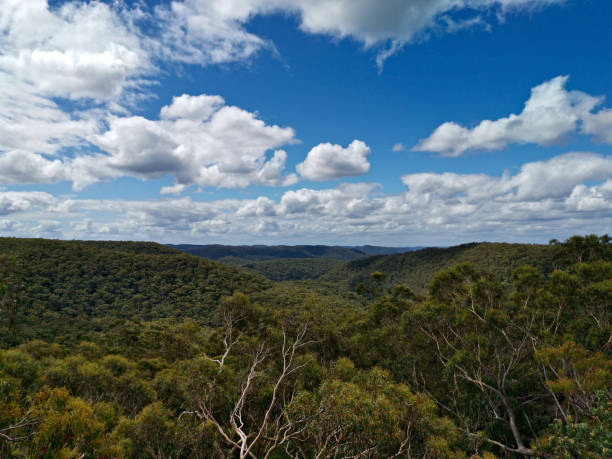 Beautiful view of mountain and valley landscape on a cloudy day, Berowra Heights, Berowra Valley National Park, Sydney, New South Wales, Australia