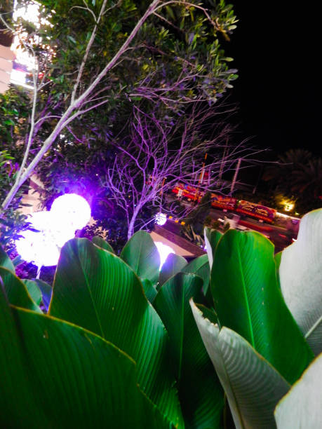 istock Abstract photo in the night 1292461615