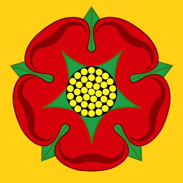 Red Rose of Lancaster Red Rose of Lancaster symbolises the county of Lancashire lancaster lancashire stock illustrations