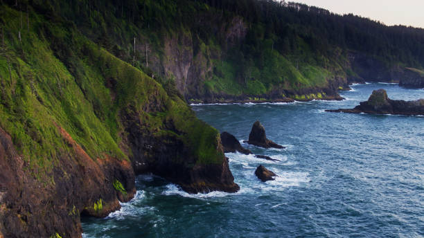 istock Drone View of the Cliffs at Cape Lookout, Oregon 1292472250