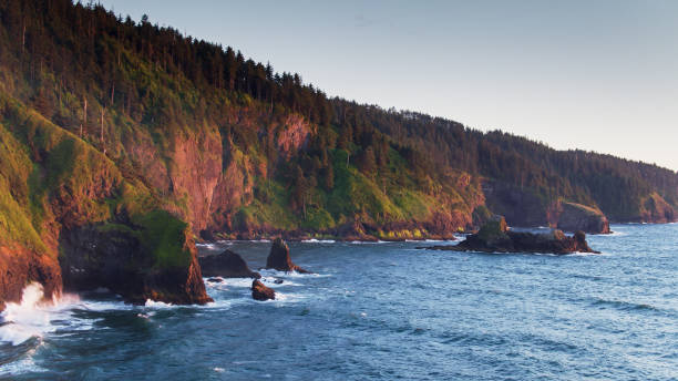 Aerial view of forested cliffs meeting the beach at Cape Lookout Beach in Oregon.