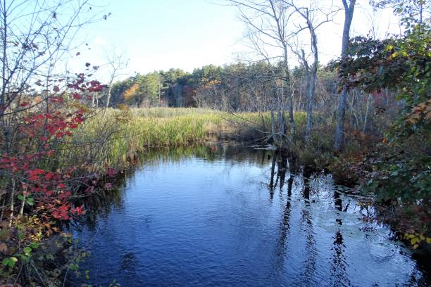 istock Outdoor Pond and waterfalls 1292473251