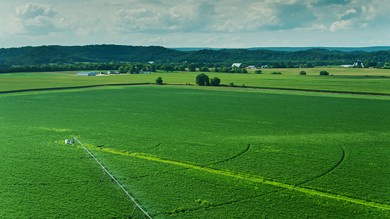 A hot summer day with a clear sky showing rural wisconsin farm fields