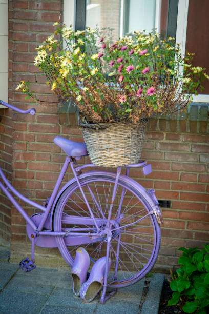 istock flower basket purple bicycle decoration 1292474209