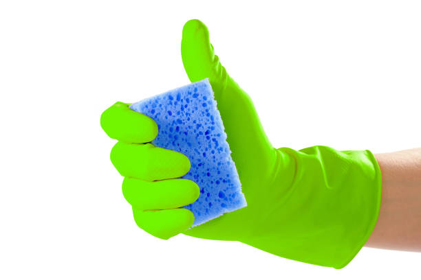 istock Female hand in protective gloves holds a sponge isolated on a white background. 1292475946