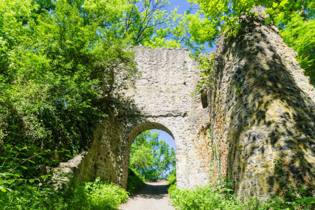 istock Gate Ruin in Wetzlar Germany 1292476373