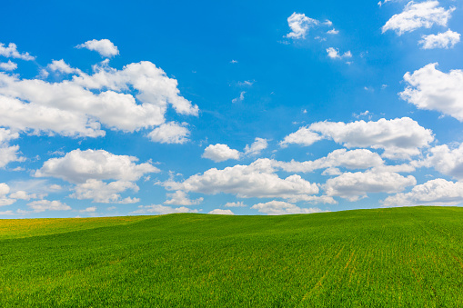 Peaceful blue sky and green grass with clouds.