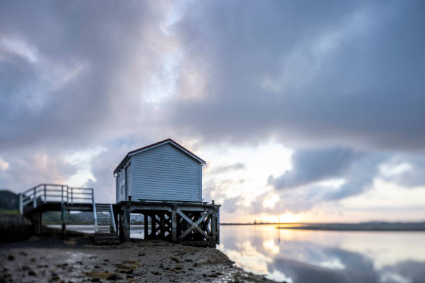 istock Big Omaha Wharf, Whangateau NZ 1292478396