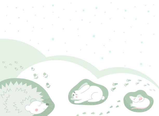 illustrazioni stock, clip art, cartoni animati e icone di tendenza di animali incantevoli sotto la neve - under the weather