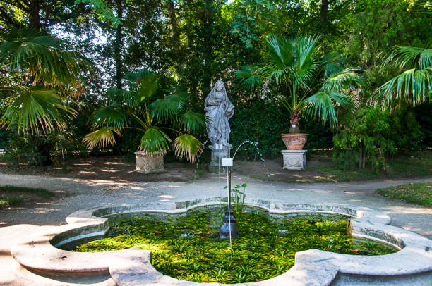 IN 1543 a Chair of botany was created at Padua University. The next step was to supply monasteries with the medicinal plants they were investigating. The Orto Botanico in Padua preserves the original configuration of beds it first established in 1545