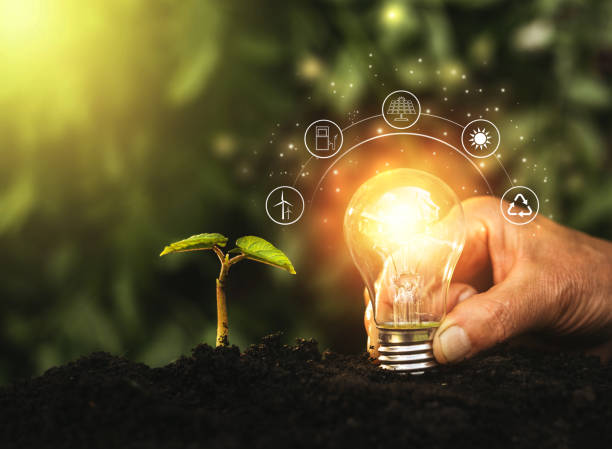 istock Hand holding illuminated light bulb against nature. Ecology concept. Energy sources for renewable, sustainable development. 1292482570