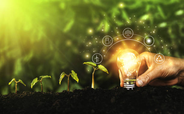 istock Hand holding illuminated light bulb against nature. Ecology concept. Energy sources for renewable, sustainable development. 1292482577