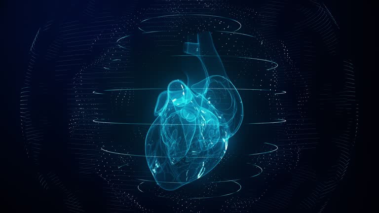 Anatomically correct blue digital human heart seamless loop with cardiac scan