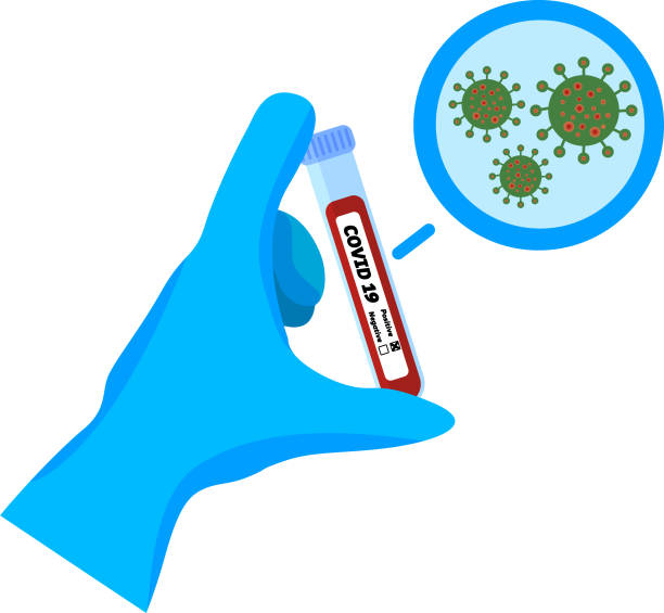 ilustrações de stock, clip art, desenhos animados e ícones de doctor hand in medical gloves holds test sample tube with blood affected by coronavirus covid-19. close up corona bacteria cell. vector illustration isolated. medicine, health care, pandemic concept - blood red blood cell blood cell blood sample