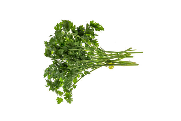 istock fresh bunch of parsley green isolated on white background 1292485636