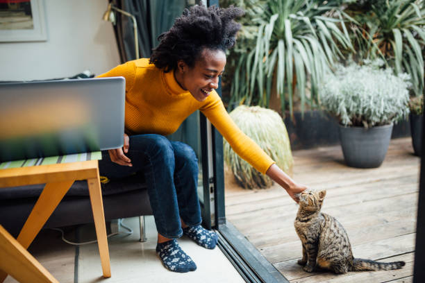 African American female freelancer with her pet cat