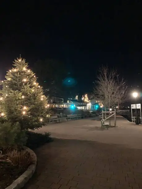 Christmas tree at the Lakeside Lake Tegernsee, Town of Tegernsee, Upper Bavaria