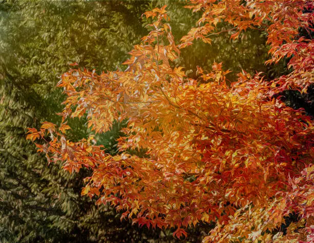 Orange and yellow autumn leaves with painterly effect