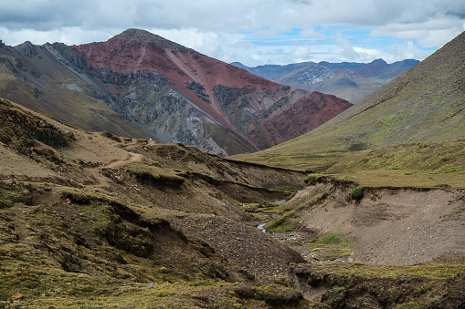 Rainbow Mountain Alpine Plants And Animals Suddenly Appear In The  Unexplored Andes Mountains Of Peru South America Stock Photo - Download  Image Now - iStock