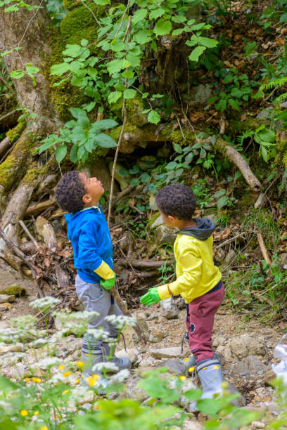 istock Two black pre-school boys standing in forest 1292492567