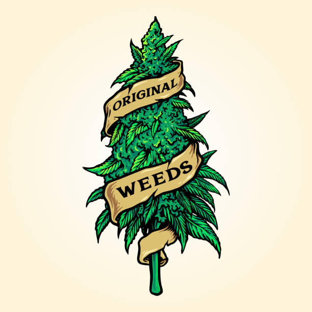 Christmas tree Marijuana Weeds Plant Cannabis with ribbon for your work Logo merchandise t-shirt, stickers and Label, poster, greeting cards advertising business company or brands. weed stamp stock illustrations