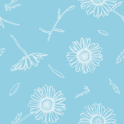 A lighthearted and delicate scattered spring daisy pattern