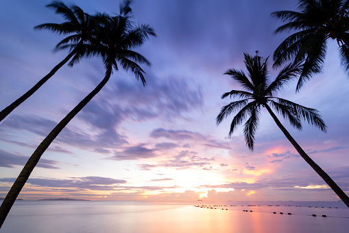 Colorful sunset sky over the sea with silhouette coconut palm trees