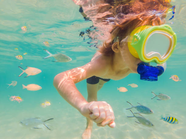 istock Underwater nature study, boy snorkeling in clear blue sea 1292509794