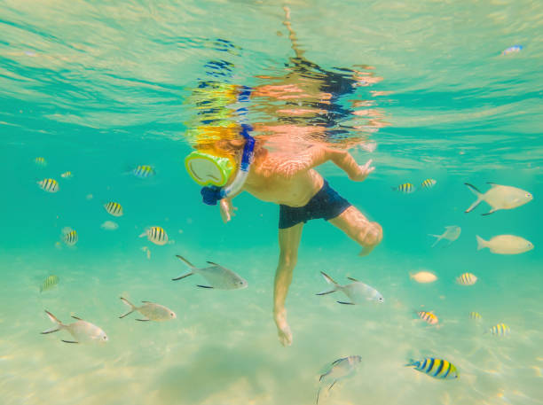 istock Underwater nature study, boy snorkeling in clear blue sea 1292509801
