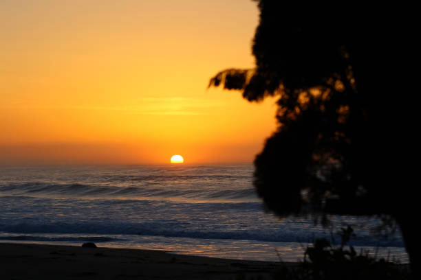 istock Misty Sunrise on a beach in Japan with large waves breaking 1292509818