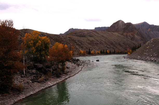 istock A beautiful turquoise river curving through a mountain valley with yellow trees on its banks. 1292513237
