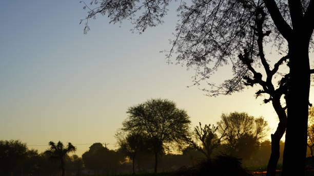 Seeming misty golden rays view with sunset background. Darkness spreading in environment during sunset view. Silence in the nature.